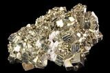 Gleaming, Cubic Pyrite & Quartz Association - Peru #107428-1